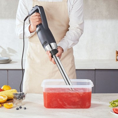 Professional Blender 1400W – 10-Speed